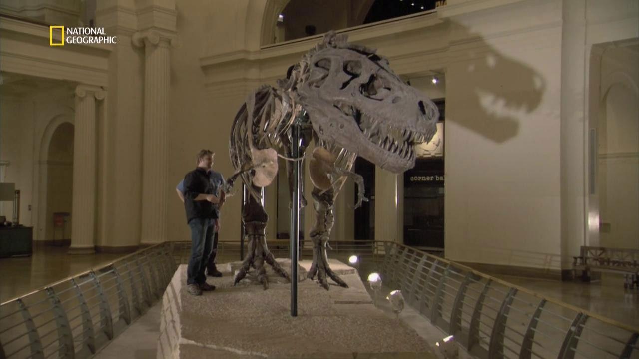T. Rex Trauma