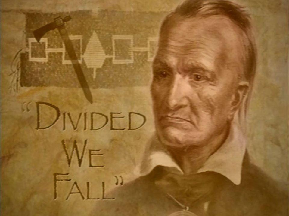 Divided We Fall