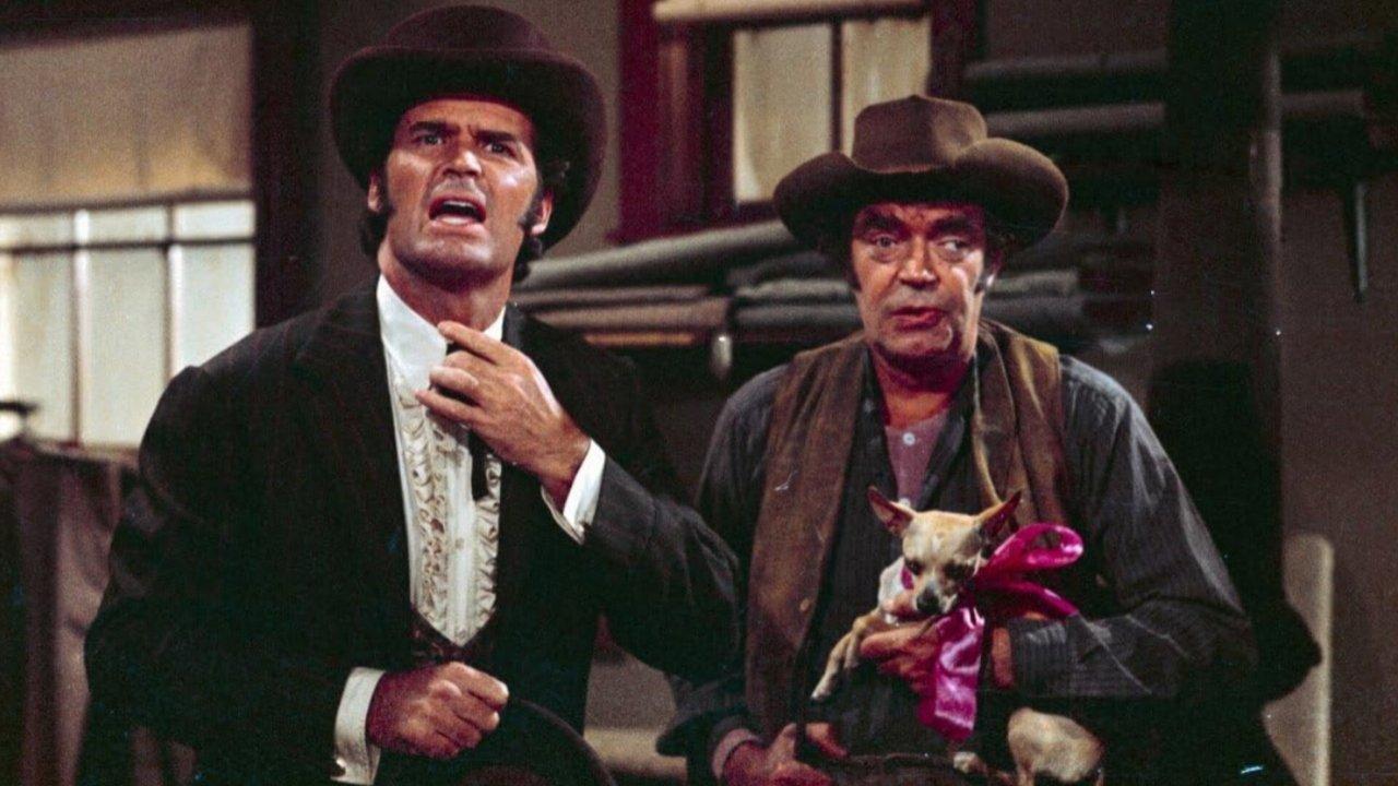 Support Your Local Gunfighter backdrop