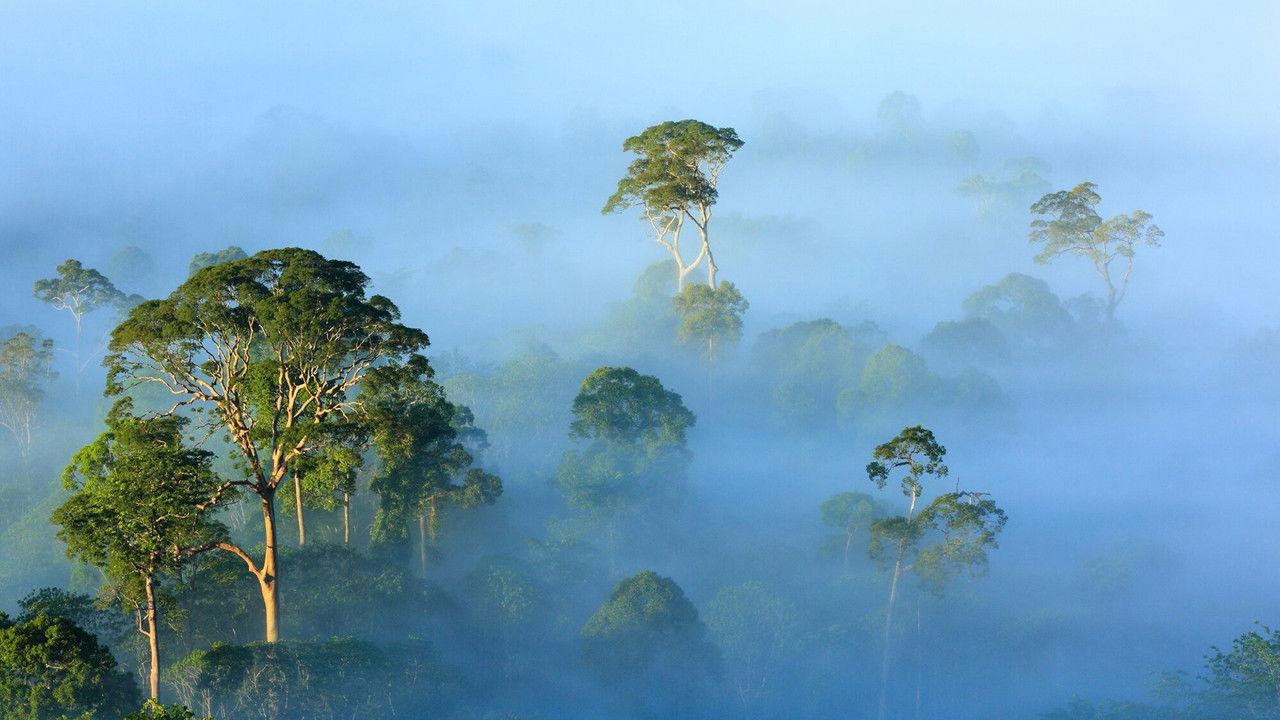 The View From on High backdrop