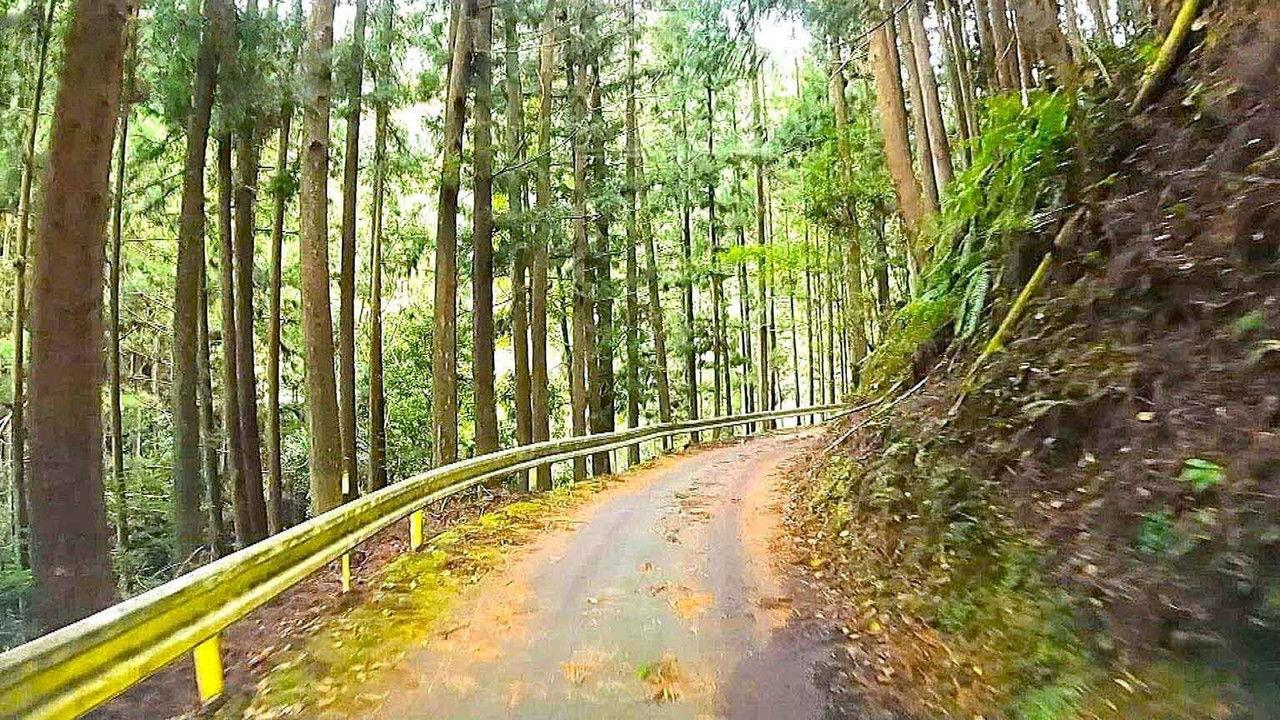 A Winding Road Through the Kii Mountains
