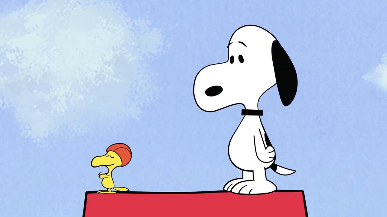 Woodstock tries Olympic Diving