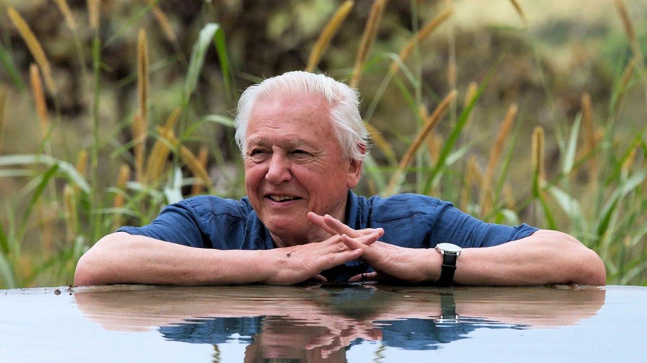 David Attenborough's Global Adventure backdrop