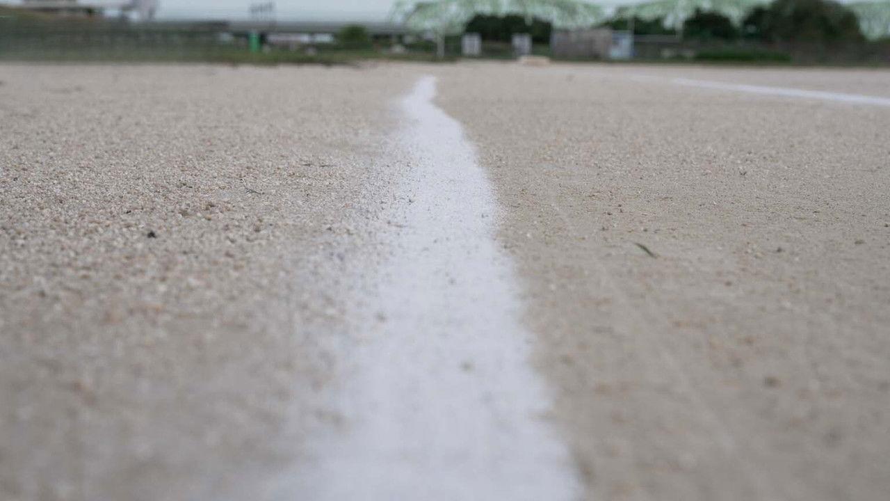 Eggshell Field Chalk