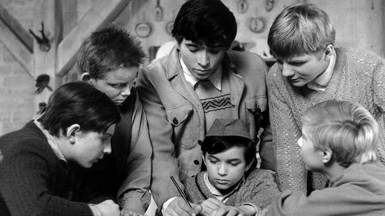 Záhada hlavolamu backdrop