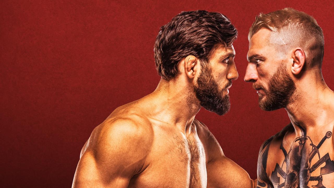 UFC Fight Night 265: Tsarukyan vs. Hooker backdrop