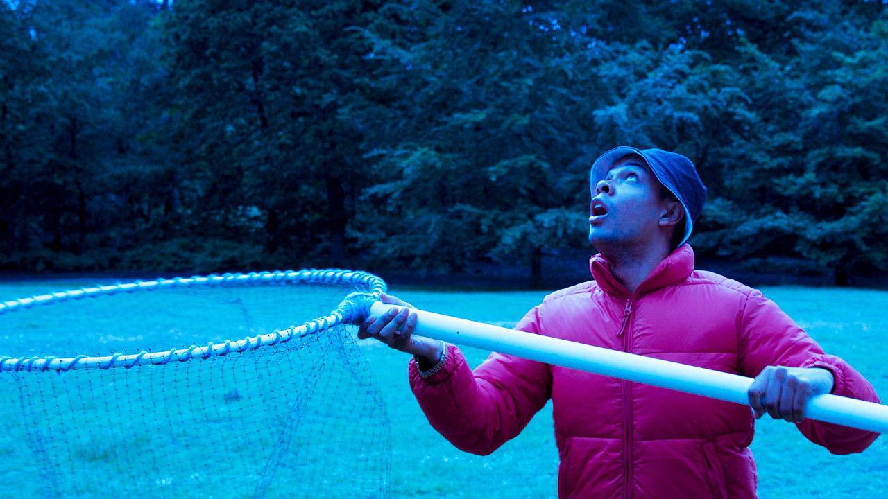 You Try to Catch a Falling Star?