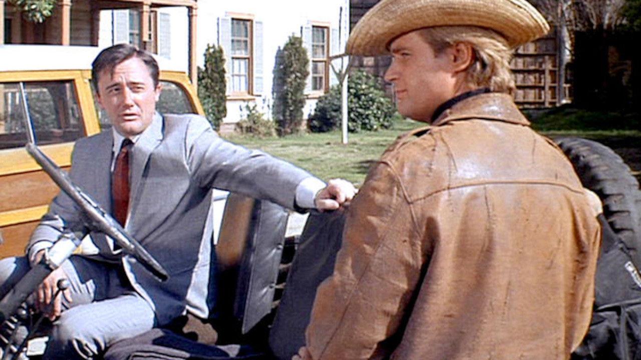 The Apple A Day Affair