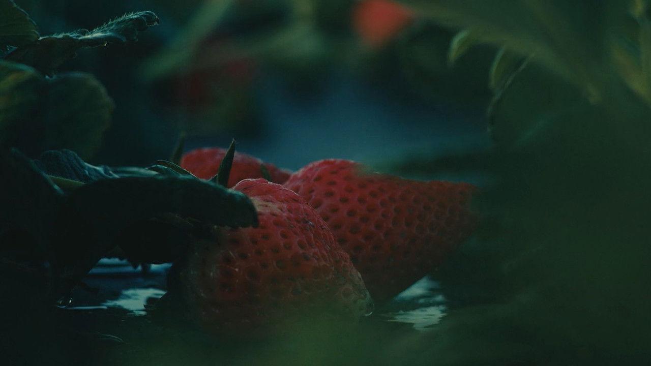 The Ballad of Tita and the Machines backdrop