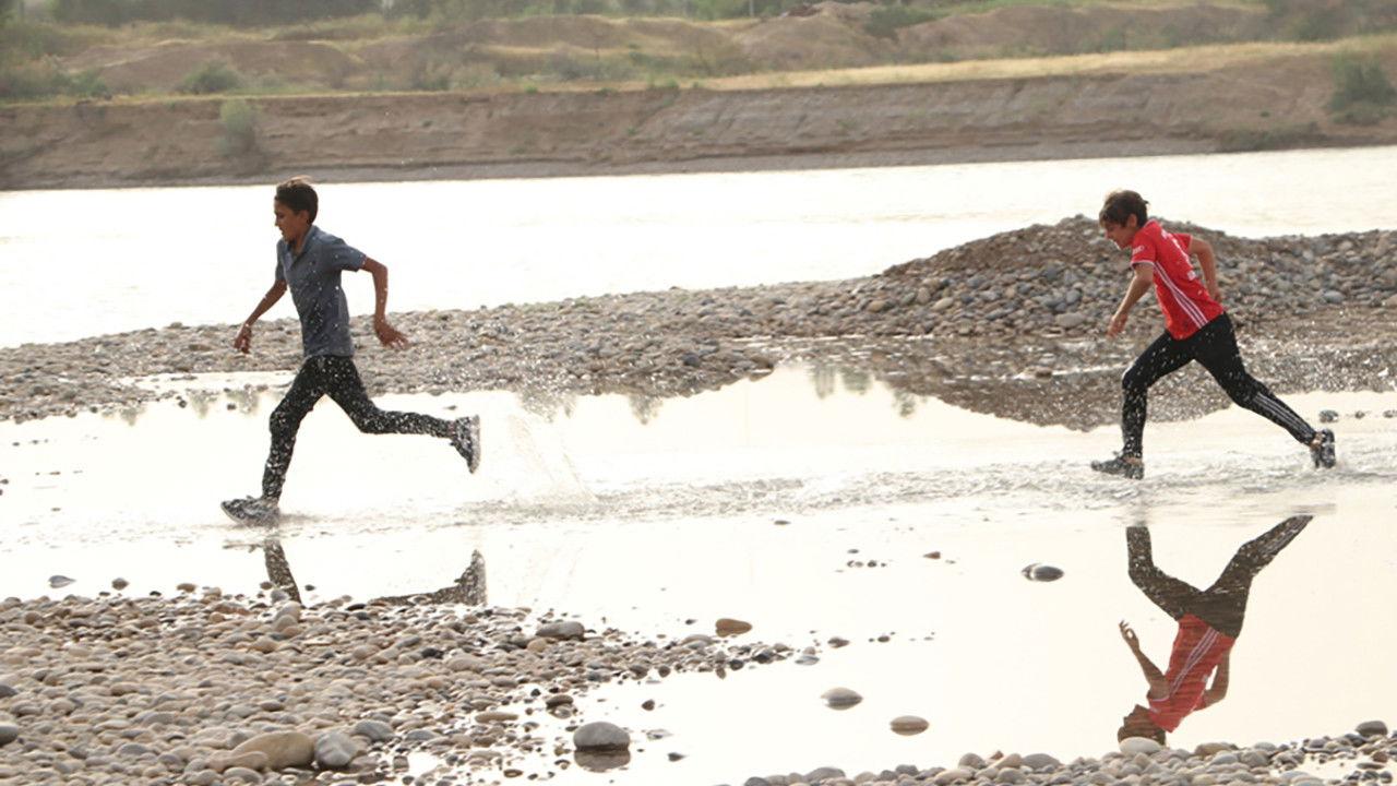 The Wind that Shakes the Sugar Canes backdrop