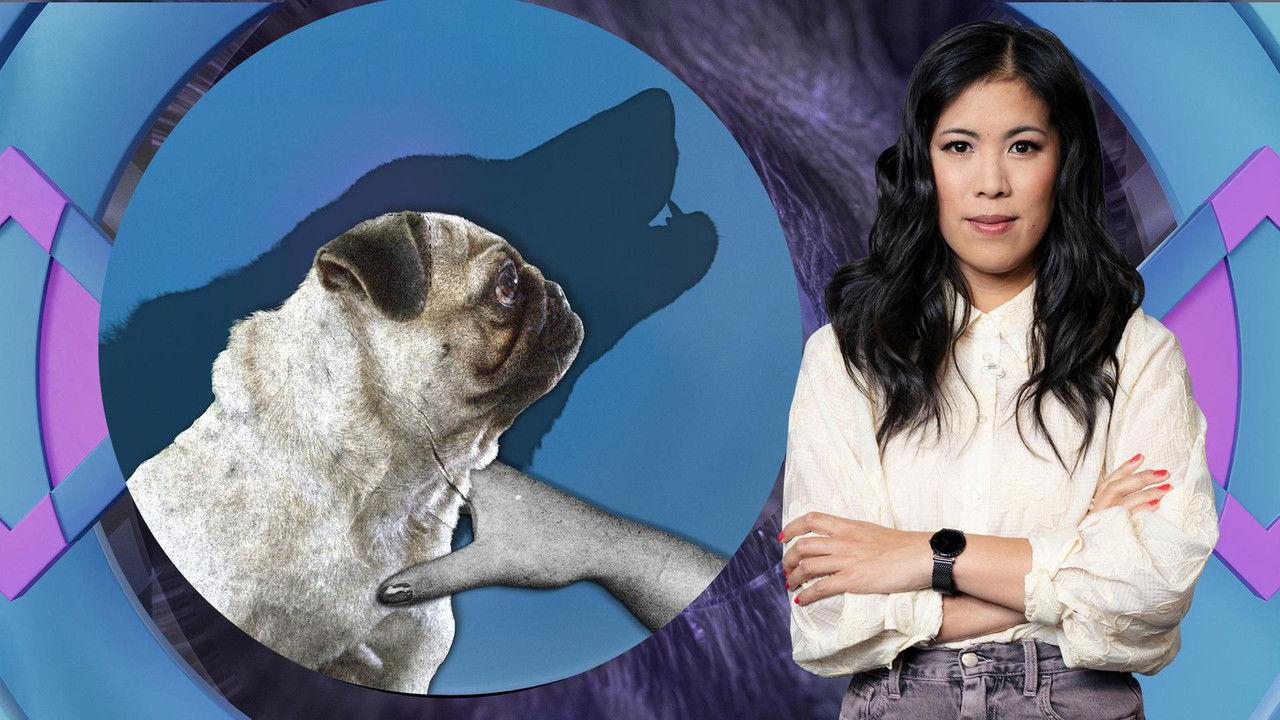 Bred to ruin: From animal cruelty to famine