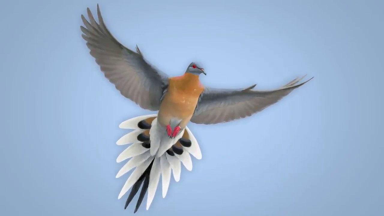 From Billions to None: The Passenger Pigeon's Flight to Extinction backdrop