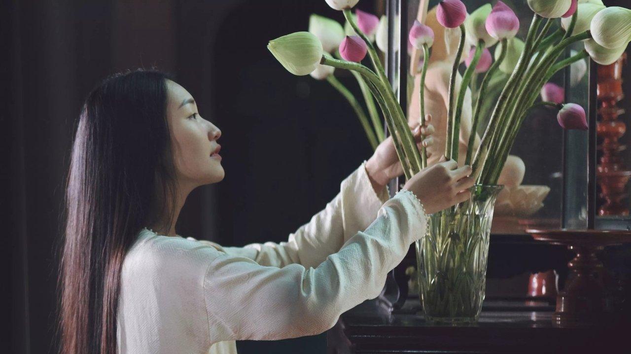 The Muse Story backdrop