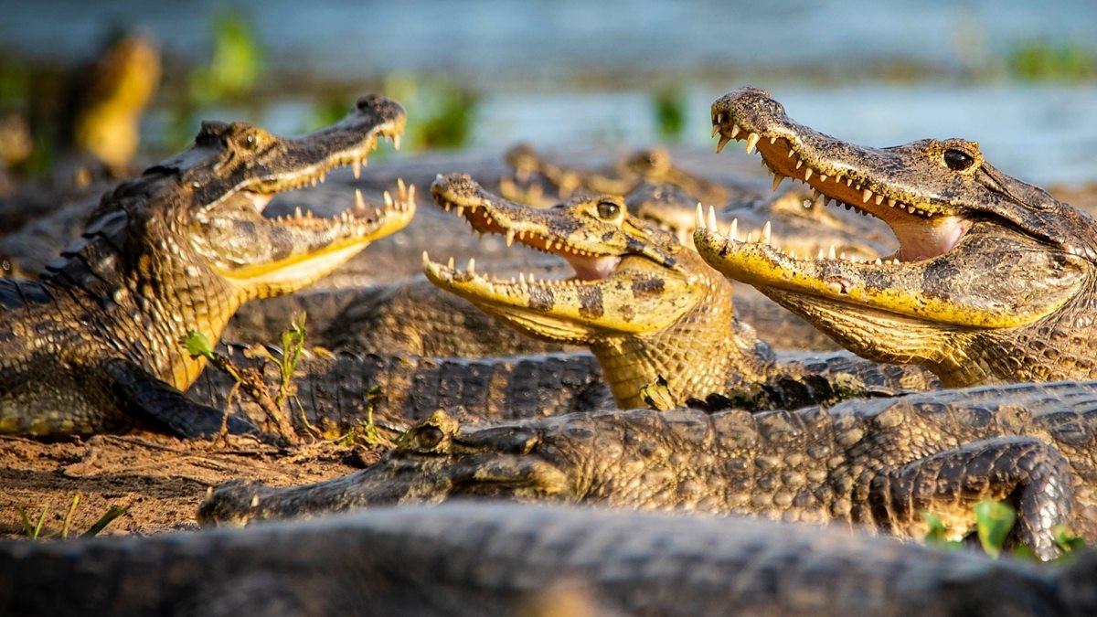 Timing Is Everything