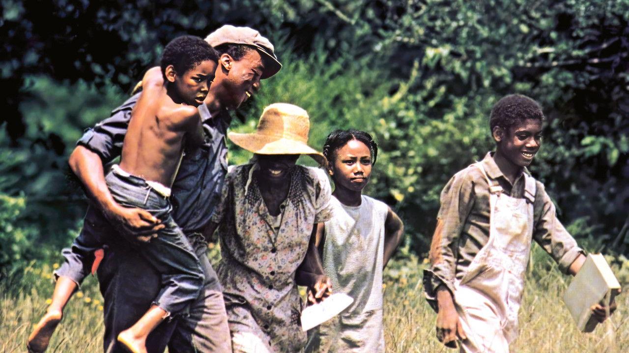 Sounder Collection backdrop