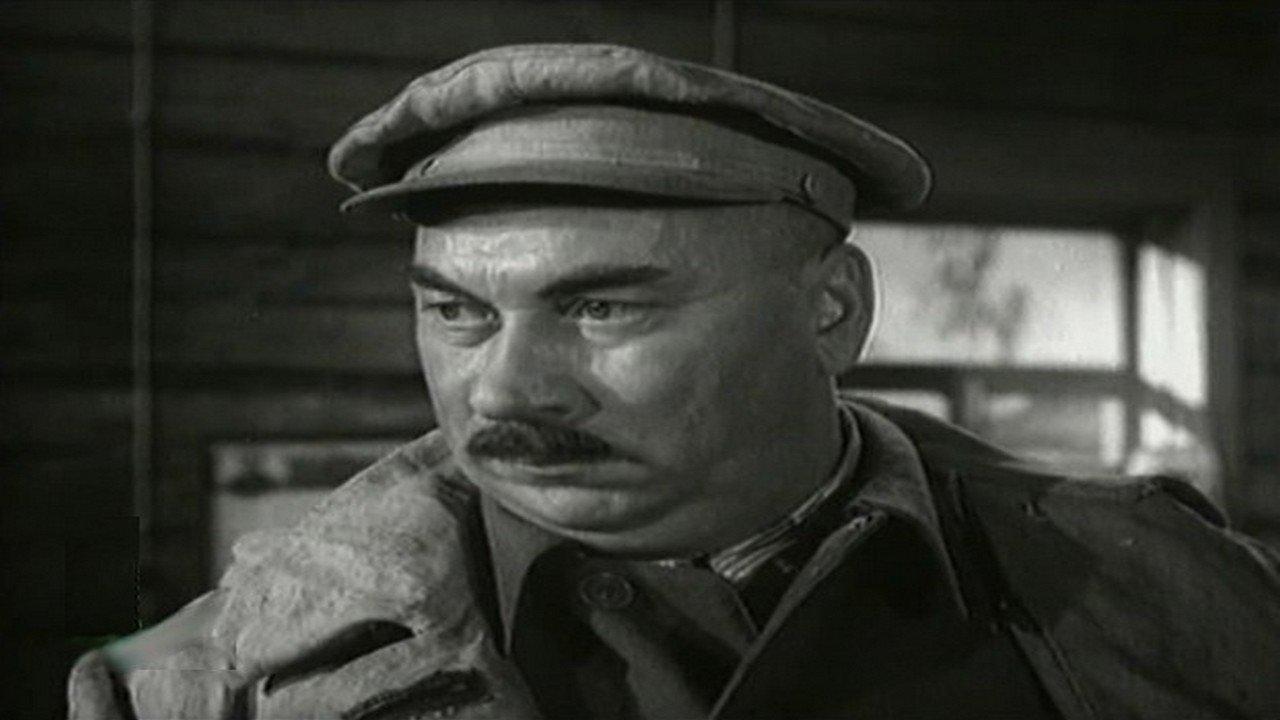 The Highlight of the Program backdrop