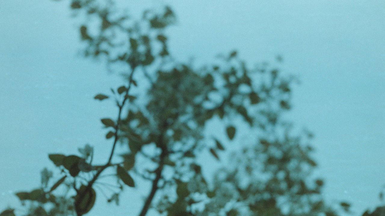 Ideal and reality backdrop