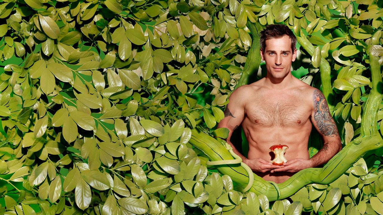 Olivers Kamp backdrop