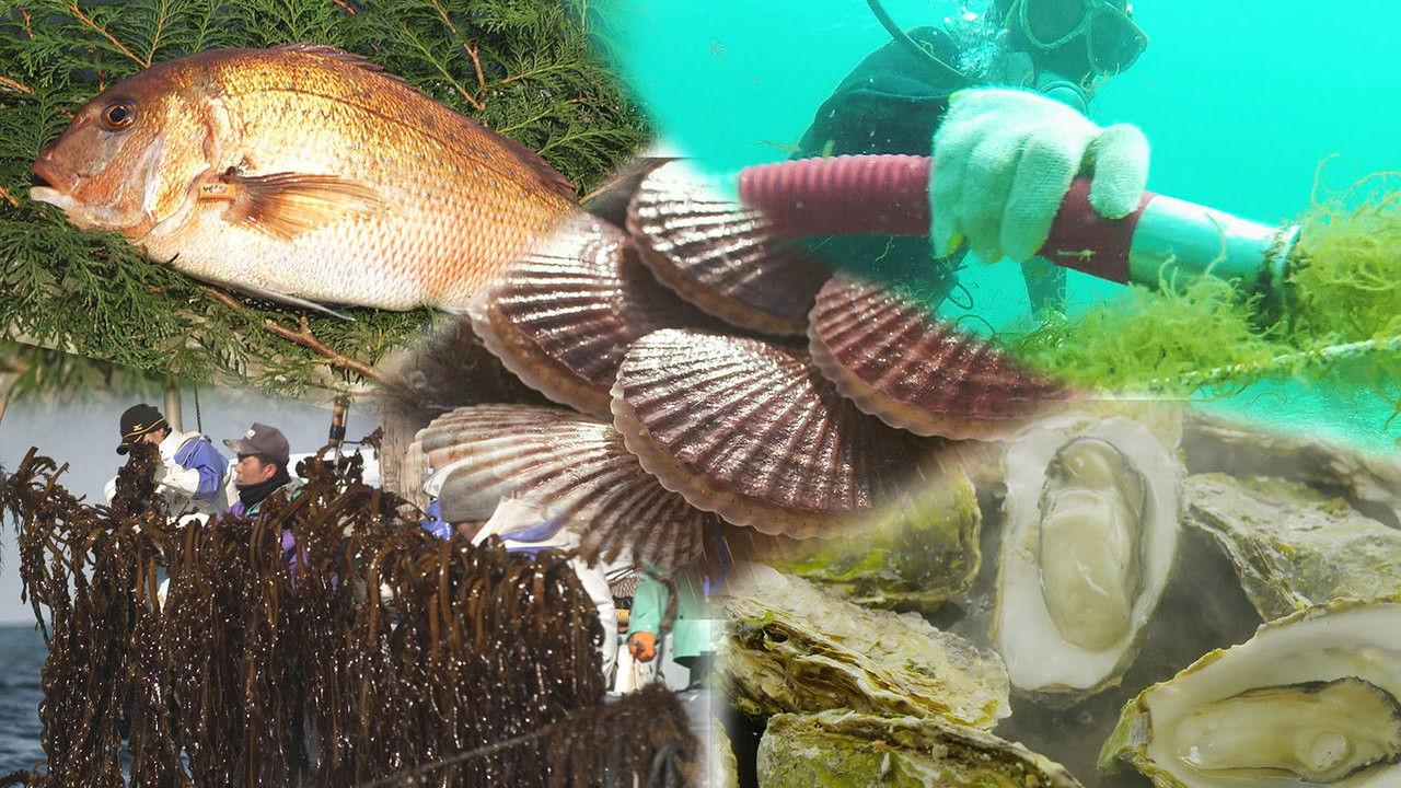 Sustainable Marine Products