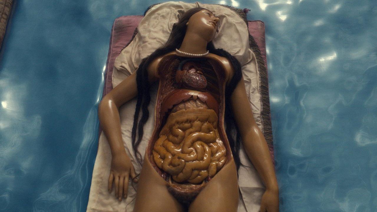 Four Unloved Women, Adrift on a Purposeless Sea, Experience the Ecstasy of Dissection backdrop