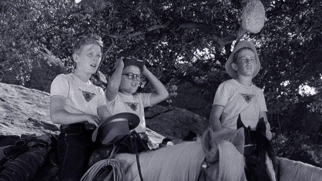 Perkins and the Bear