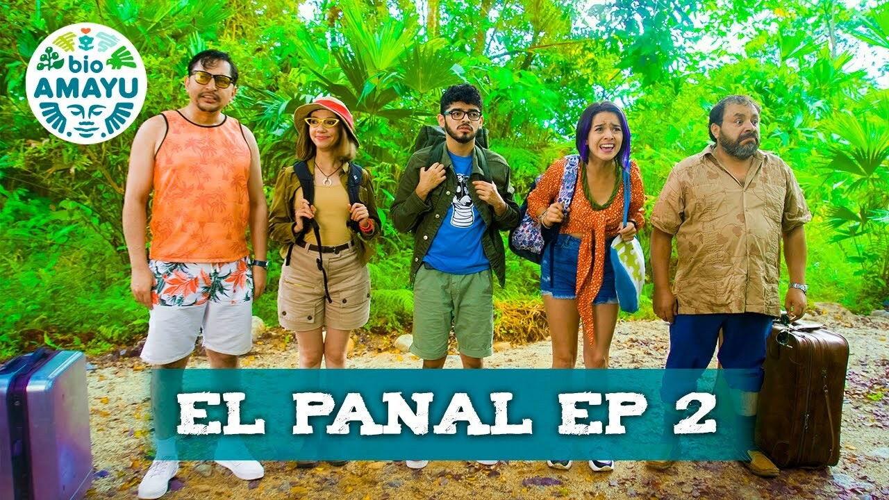 El Panal | BIO AMAYU backdrop