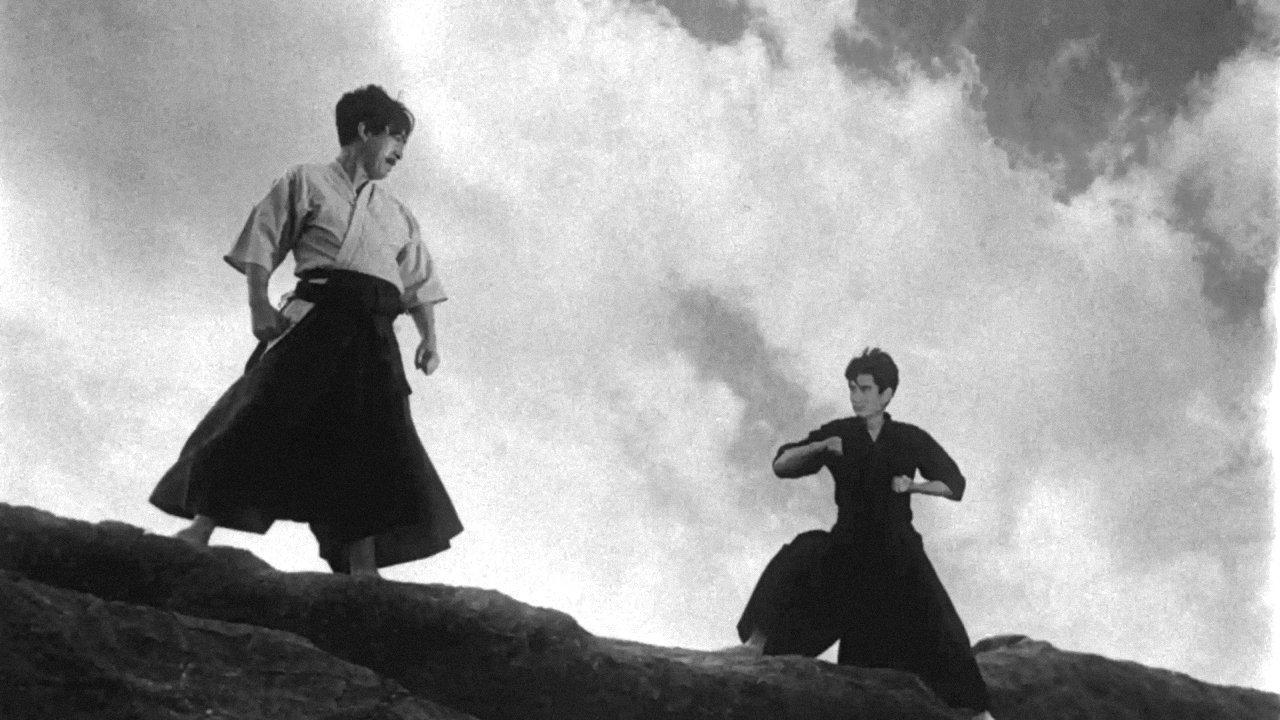 Lightning Karate Blow backdrop