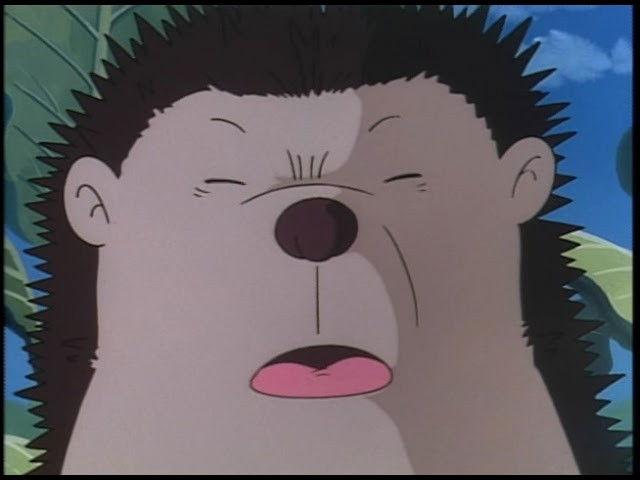 The Hare and the Hedgehog