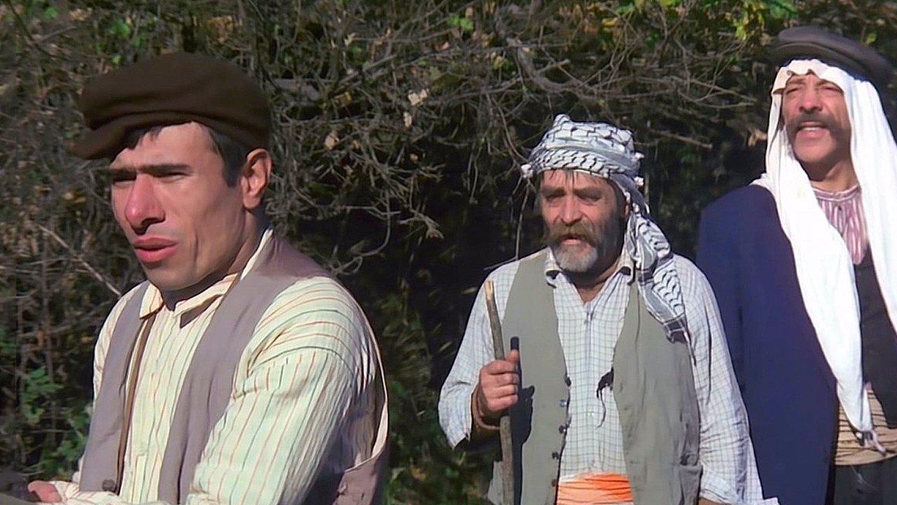 Handsome Poor Bilo backdrop