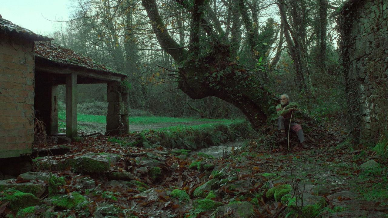Under the Chestnut Tree backdrop