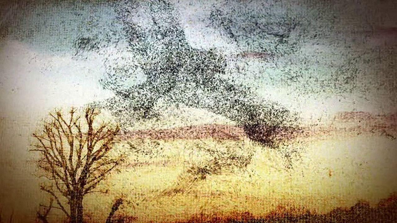 B.J. and the Seven Lady Truckers (1)