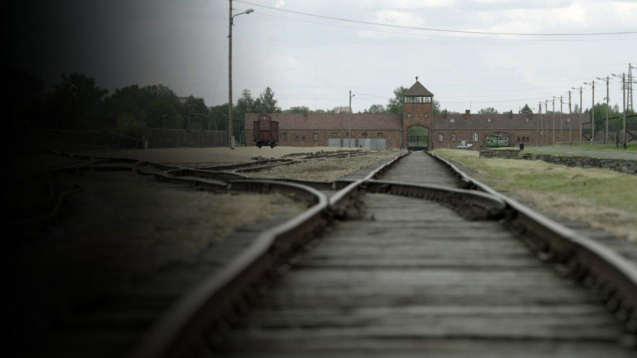 Les Traces D'Auschwitz (2021) backdrop