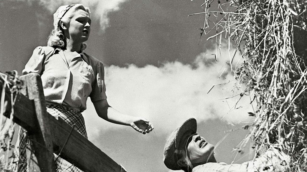 Oi, kallis Suomenmaa backdrop