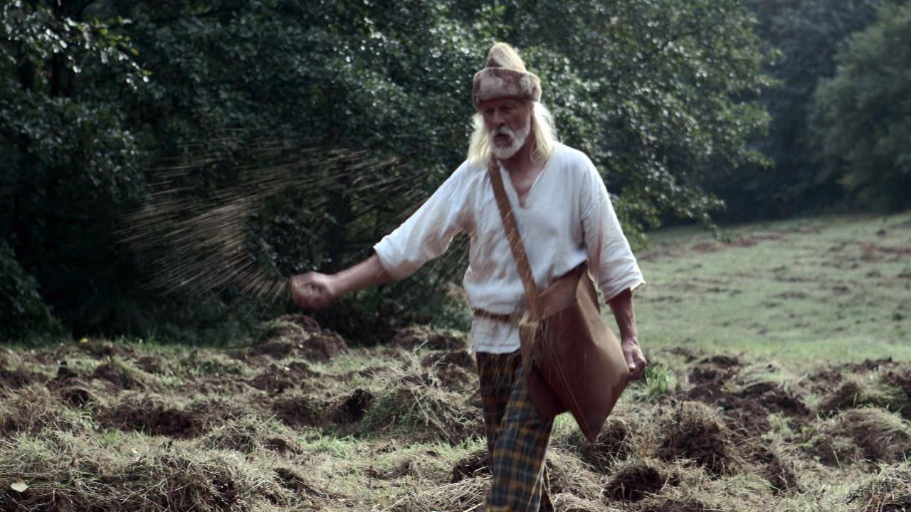 The True Face of the Gauls backdrop