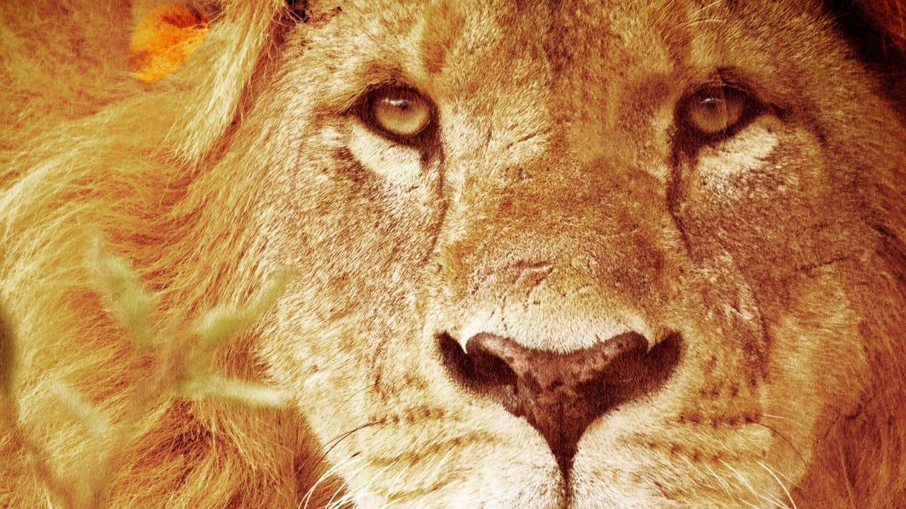 Predators Up Close with Joel Lambert backdrop