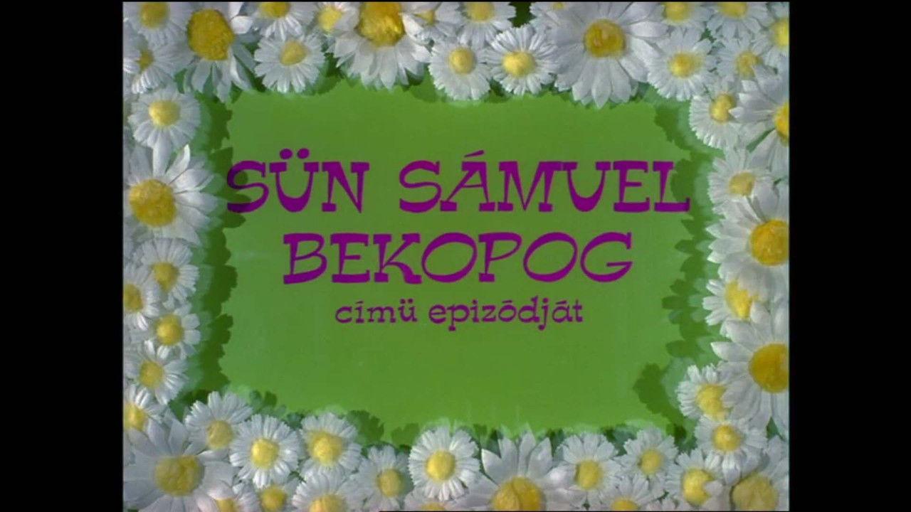 Sün Sámuel bekopog