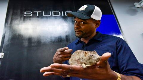 Terrell Owens vs. Justin the Fan