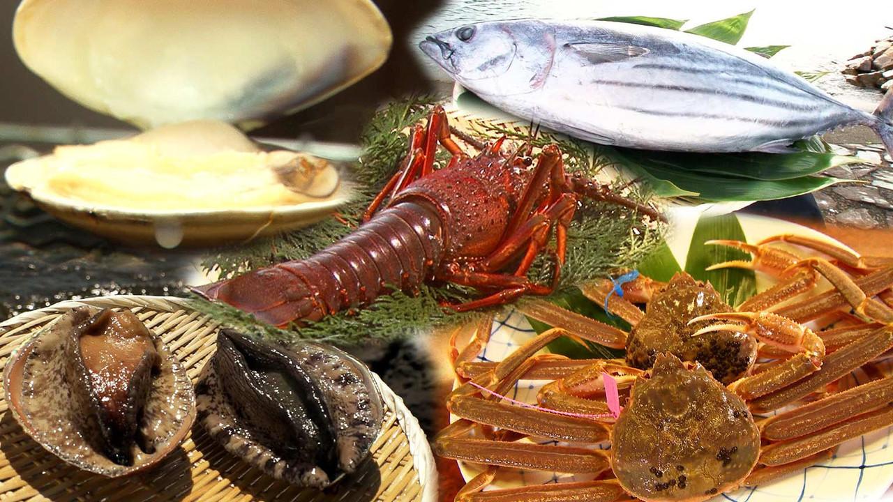 Festive Marine Products