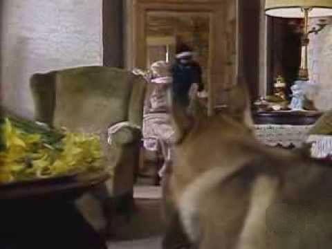 The Genesis Tapes (1)