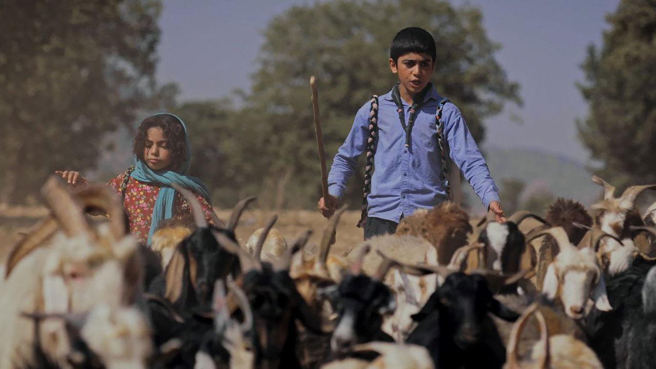 Between the Cliffs backdrop
