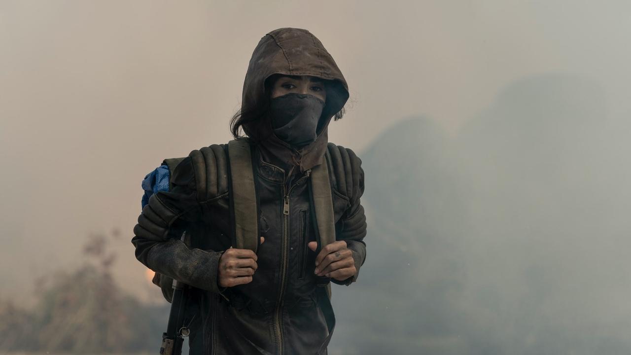 The Tyger and the Lamb