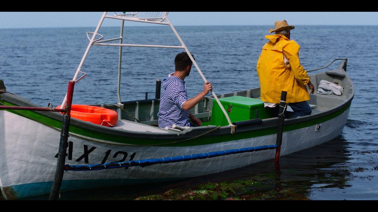 Shifting Tides backdrop