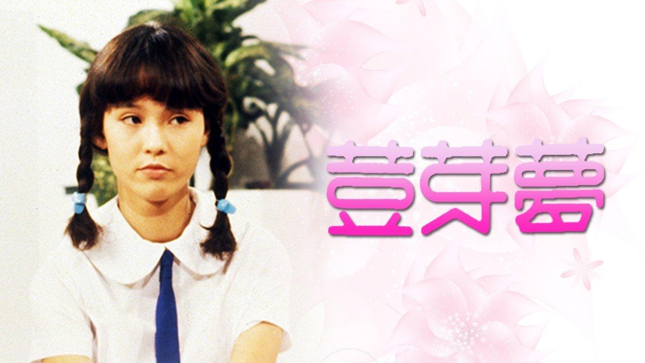 My Little Darling backdrop