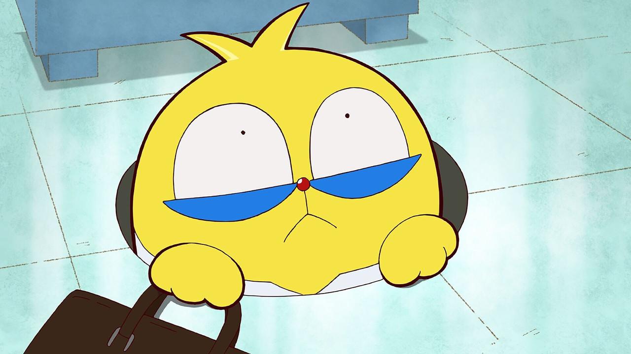 100% Teacher Pascal backdrop