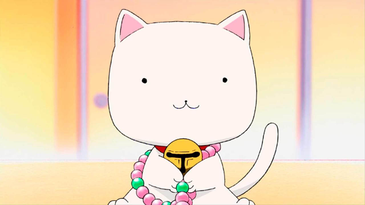 A Solo Performance - Live!