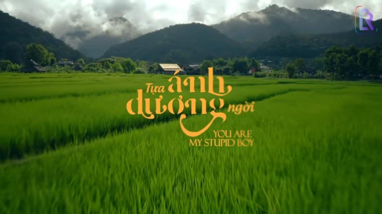 You Are My Stupid Boy backdrop