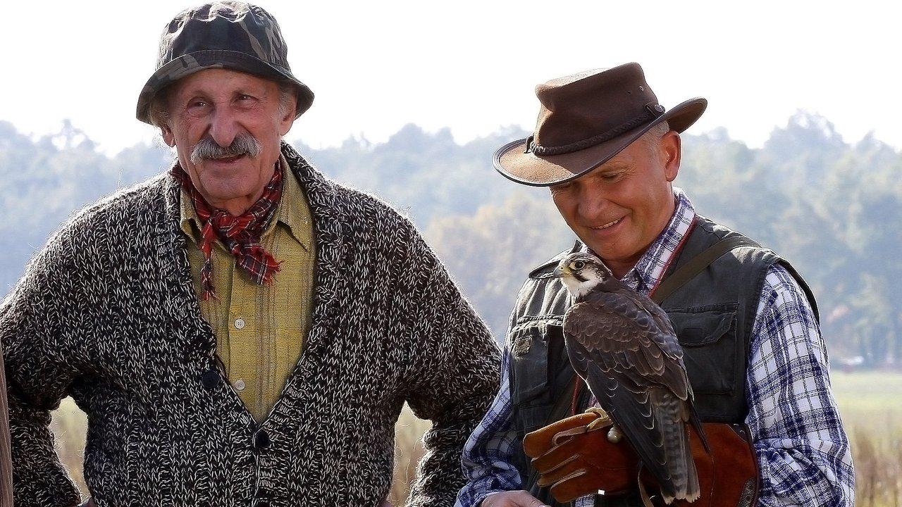 Hotel pod żyrafą i nosorożcem backdrop