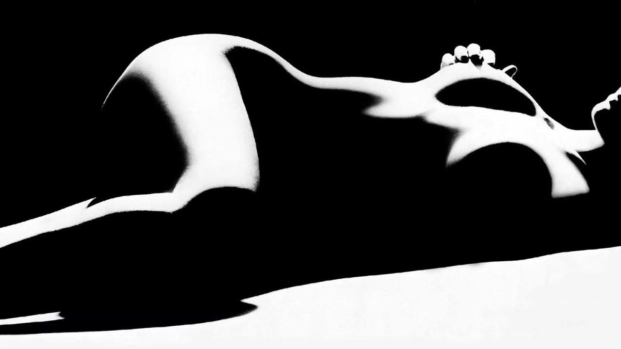 The Story of O Collection backdrop