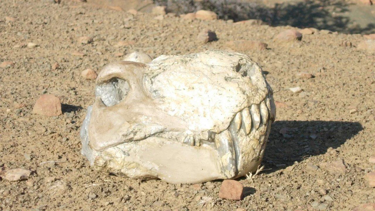 Earth's Deadliest Eruption