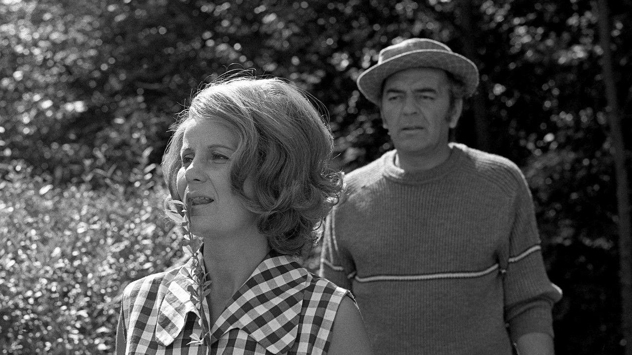 Taková letní noc backdrop